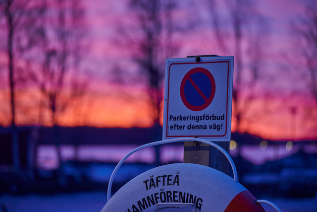 nikon z50 250 dx_3w.jpg