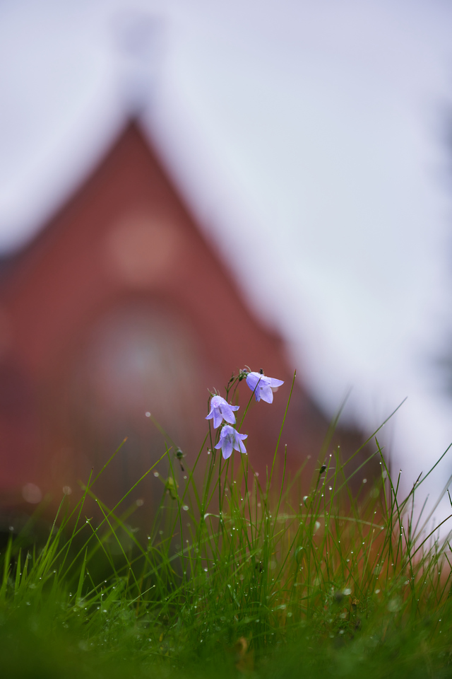 Fujfilm X-H2_16w.jpg