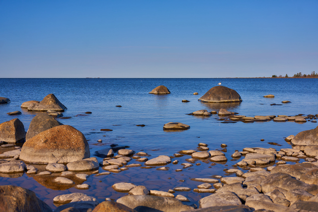 Sony 50mm f2.5_5w.jpg