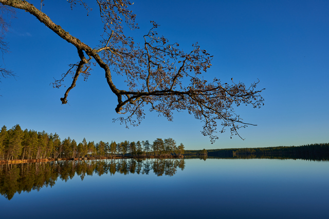 Sigma 24mm f1.4 DN so_14w.jpg