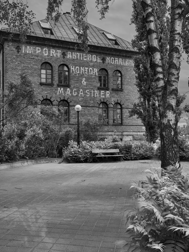 Olympus 8-25mm f4_4w.jpg