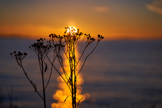 Tamron 28-75mm G2 So_6w.jpg