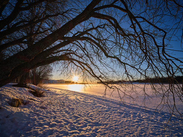 Laowa 19mm f2.8_11w.jpg