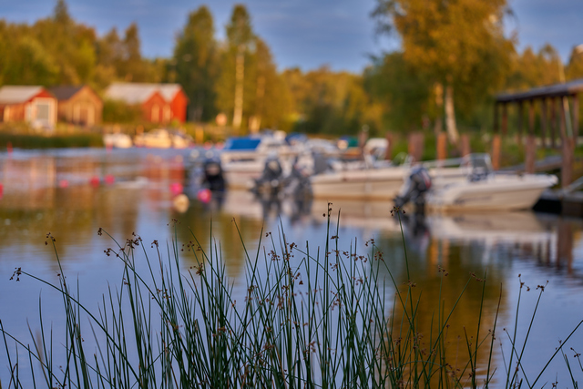 Voigtländer Macro 110mm_22w.jpg