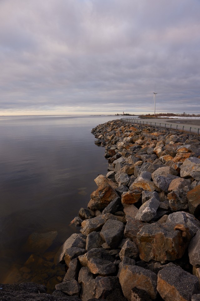 Canon RF 24-50mm_6w.jpg