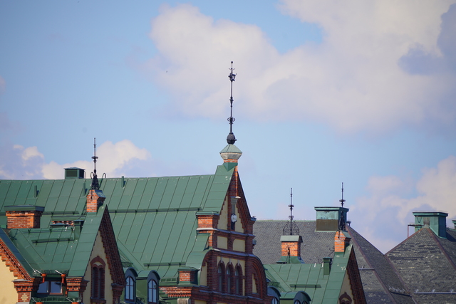 sony_fe_200 600mm_17w.jpg