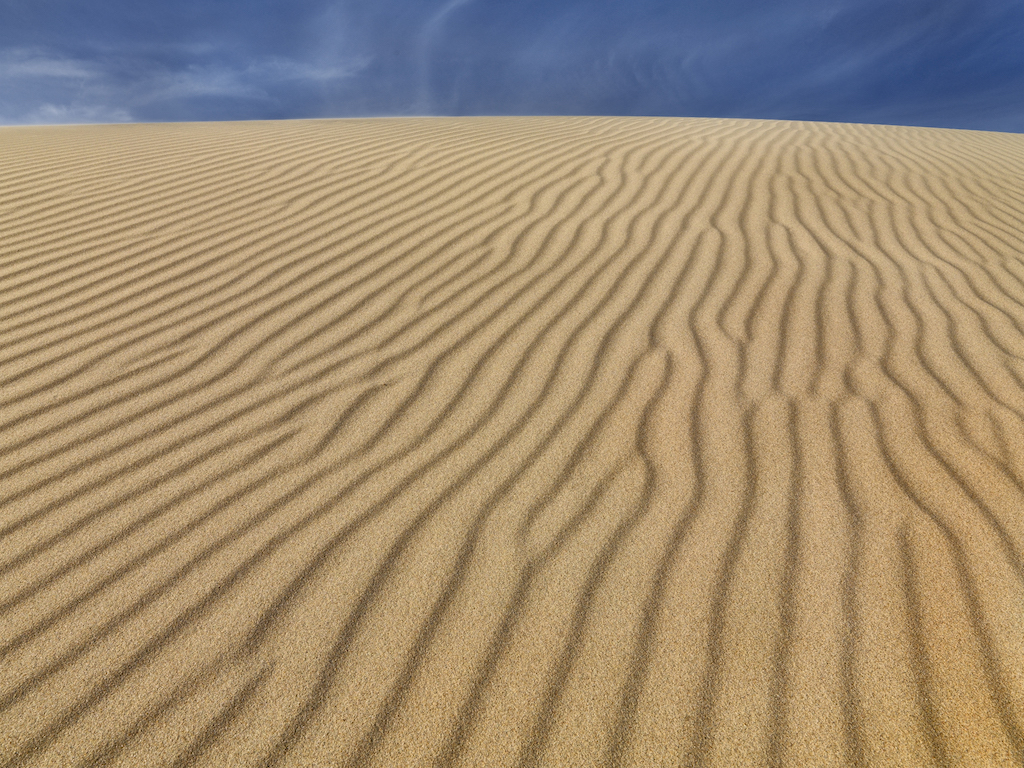 LA-DES-00021.tiff copy.jpg