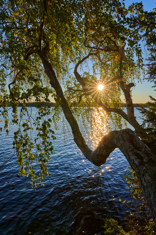 Sigma 24mm f2 DN_28w.jpg