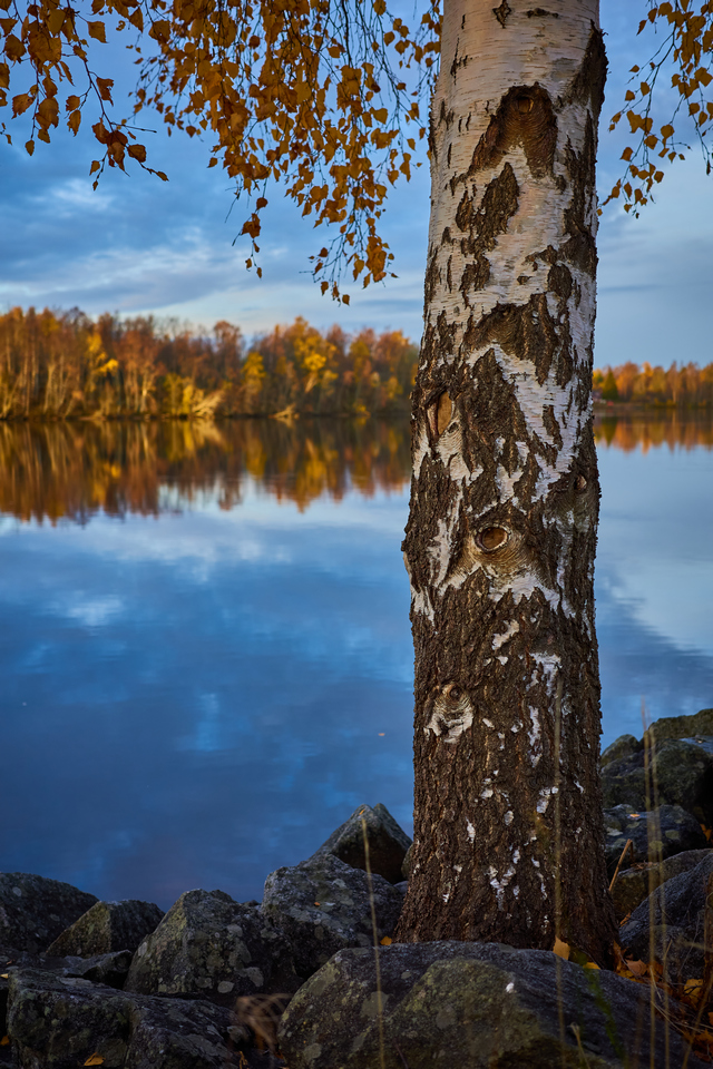 Ricoh GR IIIx_12w.jpg