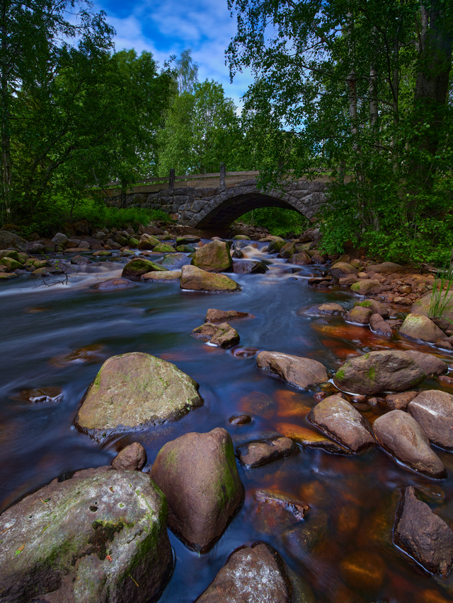 Olympus 8-25mm f4_8w.jpg