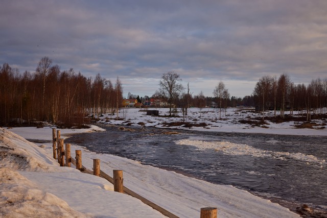 Canon RF 24-50mm_3w.jpg