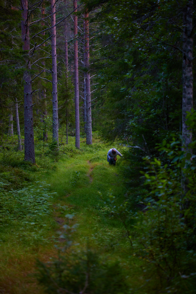 Canon RF 100 macro_2w.jpg