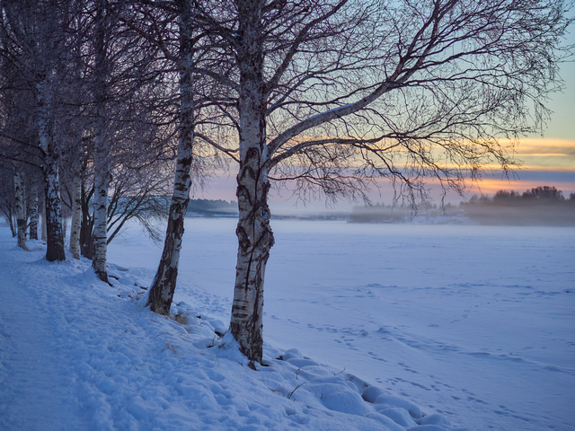 OM System 20mm f1.4_13w.jpg