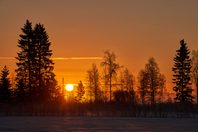 Sigma 60-600mm DN_4w.jpg