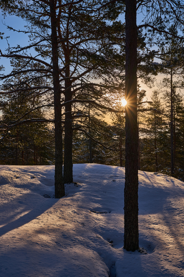 Sony PZ 16-35mm f4 G_10w.jpg