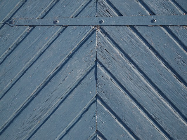 OM System 90mm macro_20w.jpg