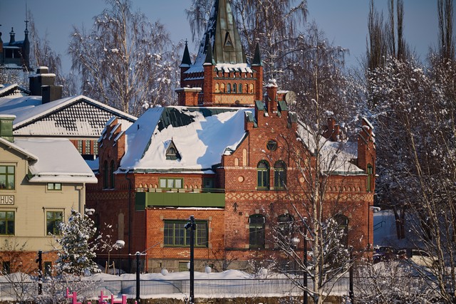 Nikon Z 400mm f2.8 TC_19w.jpg