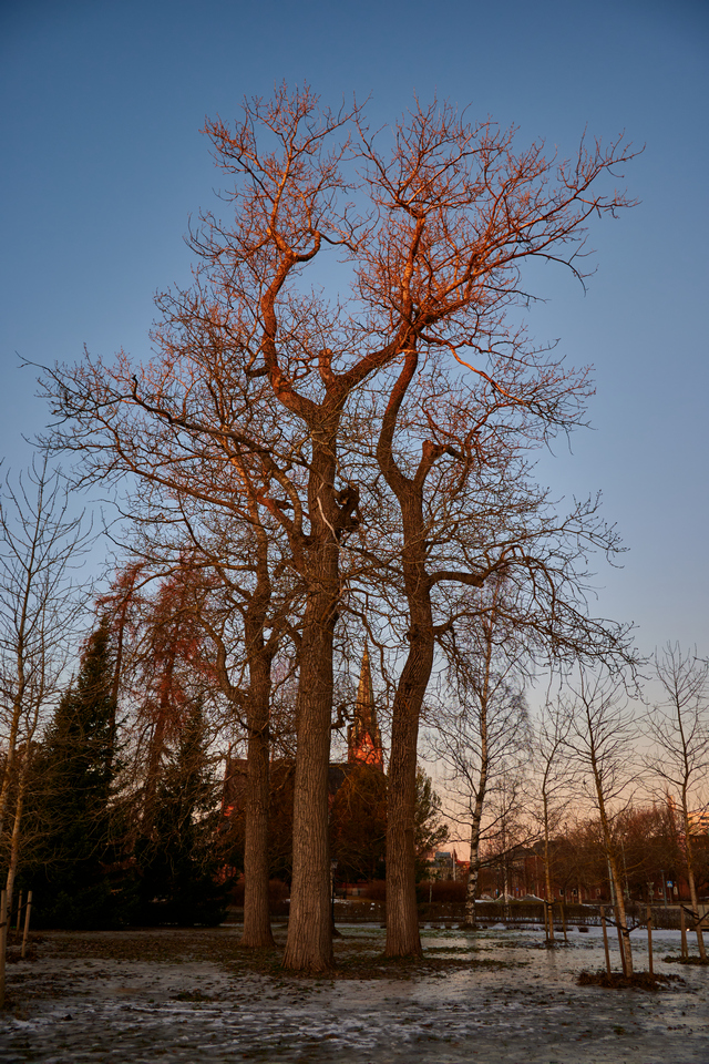 nikon z 16_50 dx_18w.jpg