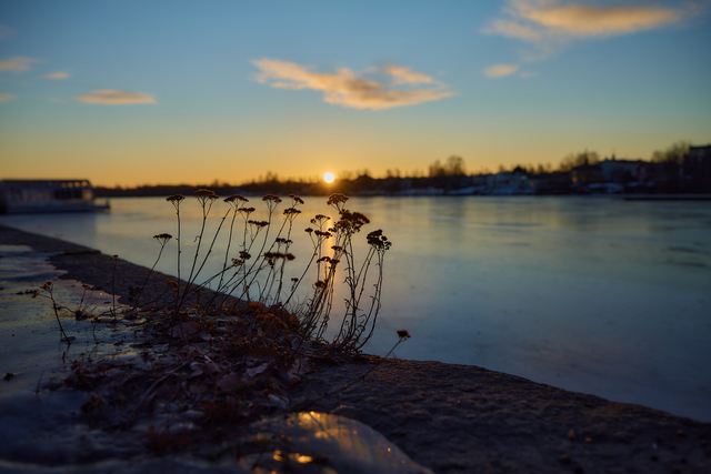 panasonic s pro 24_70 28_9w.jpg