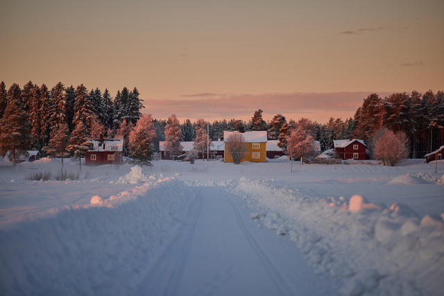 Canon RF 135 f1.8_11w.jpg