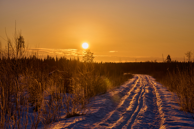 Nikon Z 100_400mm_14w.jpg