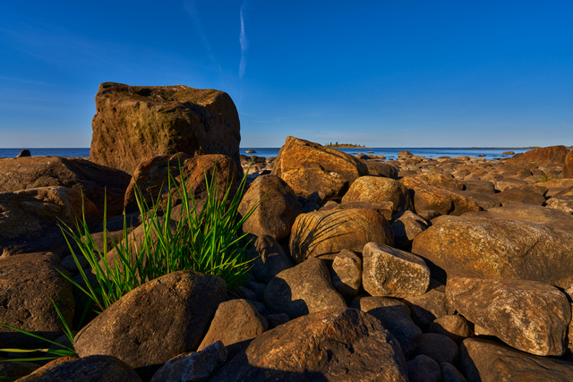 Sony 14mm f1.8_13w.jpg