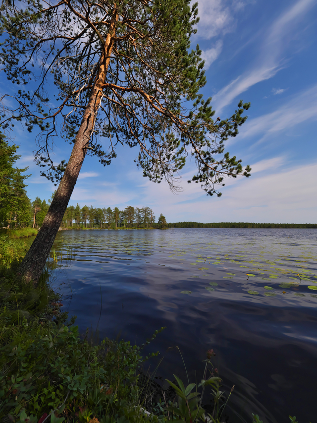 Panasonic GH5 II_1w.jpg