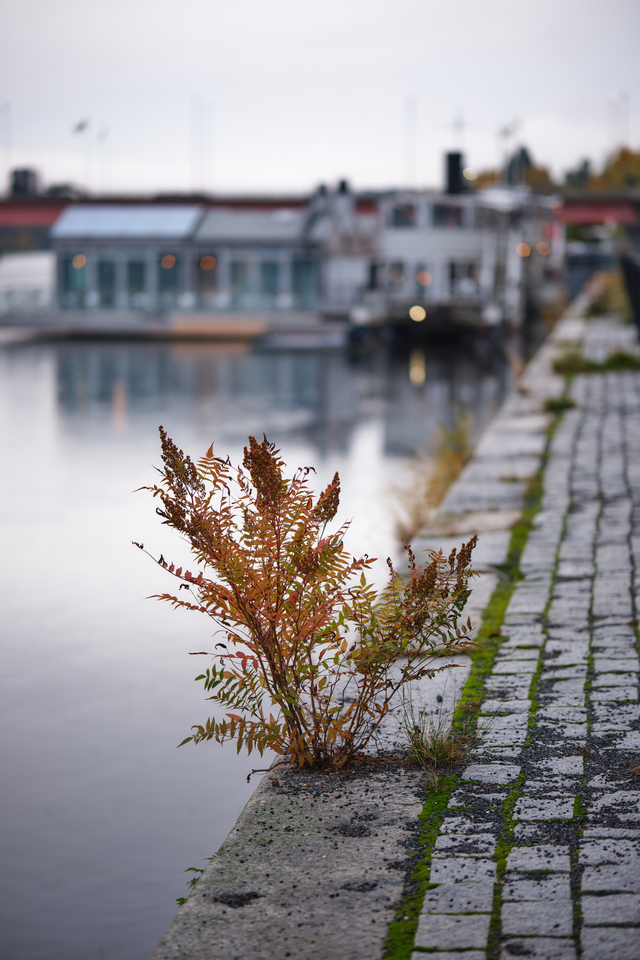 Fujfilm X-H2_21w.jpg