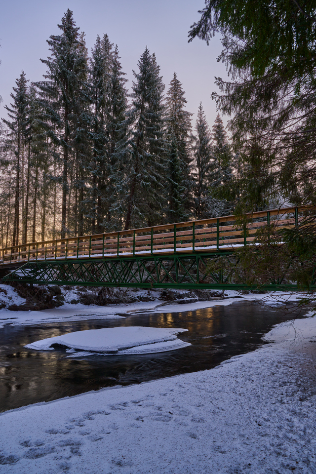 Nikon Z 24-120mm_40w.jpg