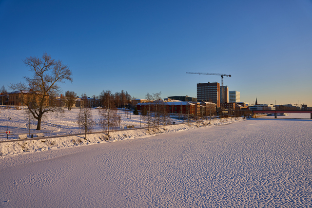 sigma 24-70 art sony_29w.jpg