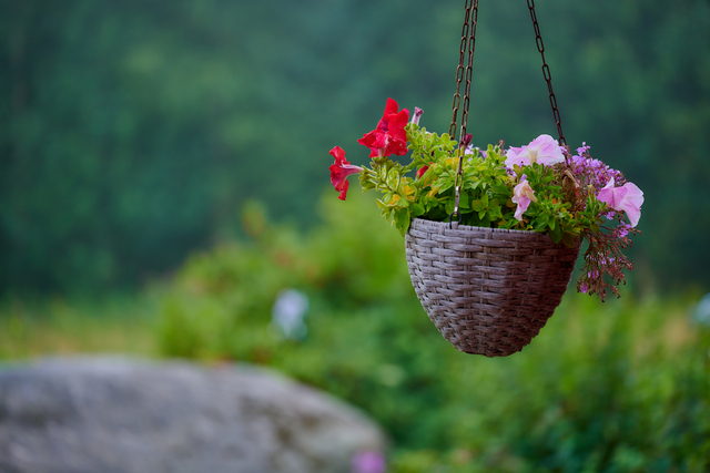 Nikon Z 105 f2.8_8w.jpg