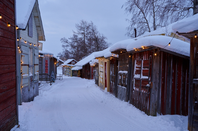 Nikon Z 18-140mm_2w.jpg