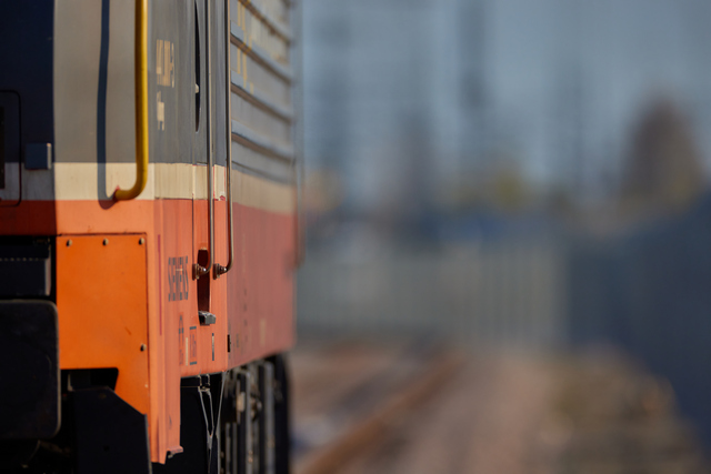 Canon RF 800mm f5.6_13w.jpg