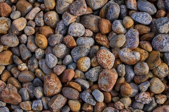 Canon EOS R8_19w.jpg