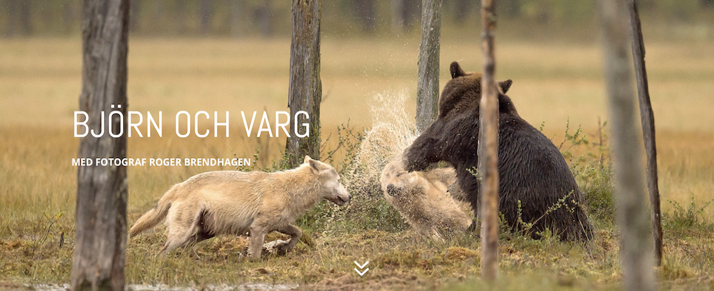 Skärmavbild 2021-10-13 kl. 09.40.55.png