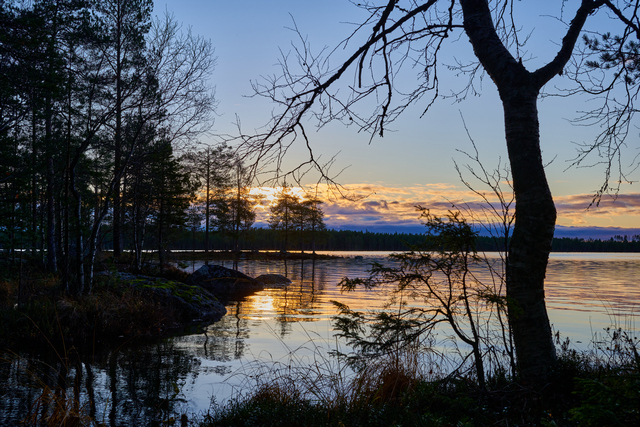 Nikon Z 40mm f2_23w.jpg