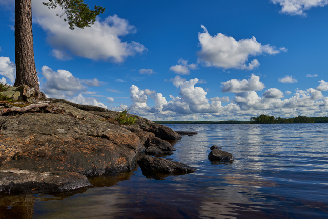 Sony 15mm f1.4_15w.jpg