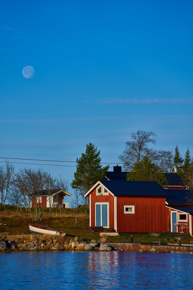 Tamron 70 300 Sony_18w.jpg