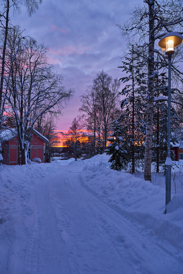 Tamron 17-70mm_14w.jpg