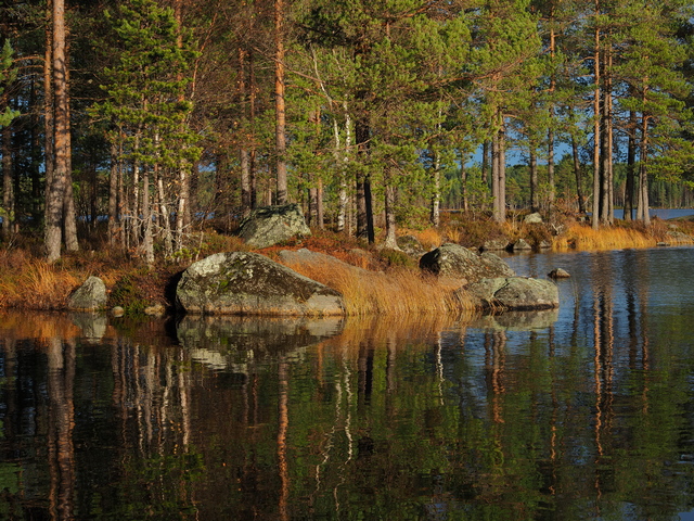 Om System OM5_3w.jpg