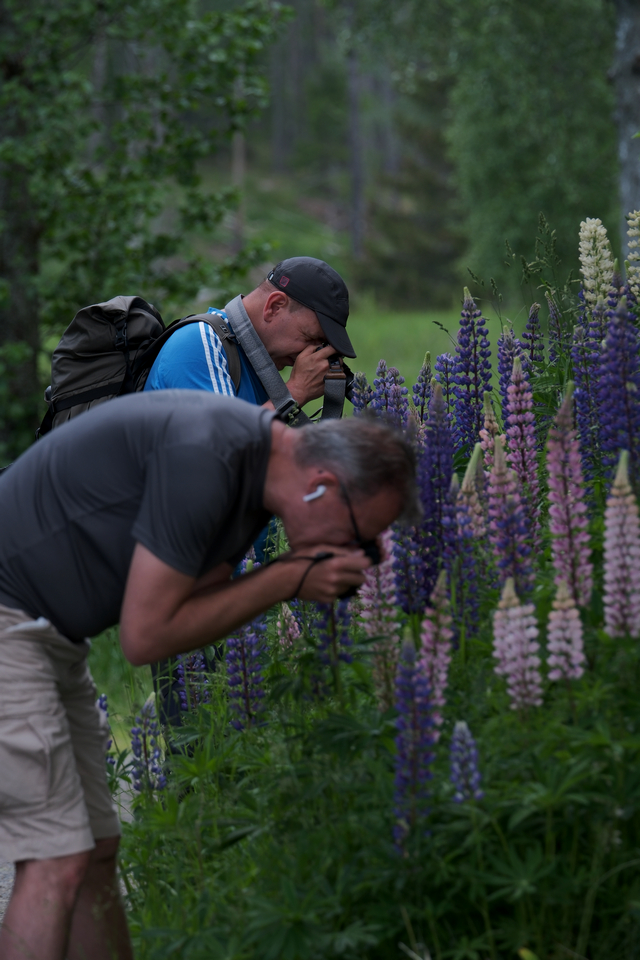 Fujifilm X-H2s_5w.jpg