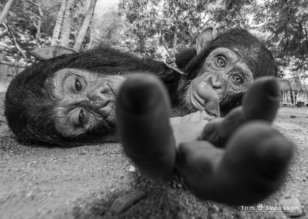 Skärmavbild 2021-05-10 kl. 16.02.06.png