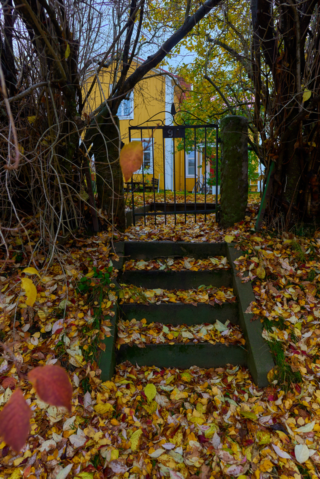 Sony A7s III_19w.jpg