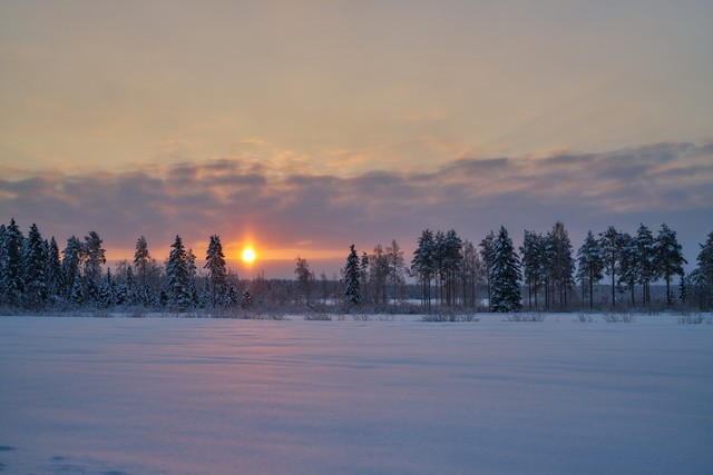 Sony FE 50mm f1.4 GM_7w.jpg