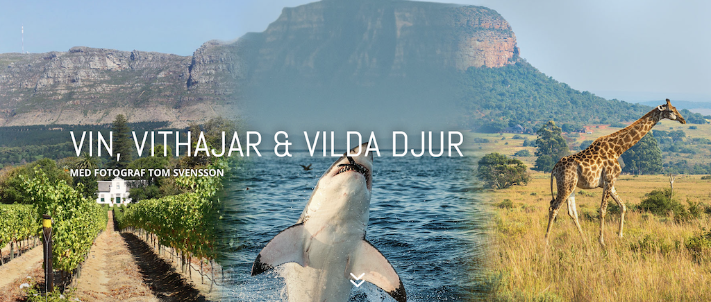 Skärmavbild 2021-04-28 kl. 13.44.19.png