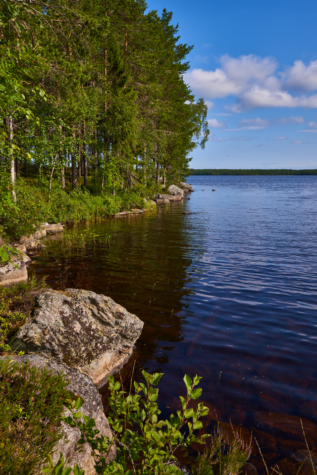 Tamron 11-20mm_5w.jpg