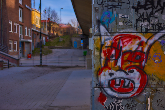 Sony 50mm f2.5_13w.jpg