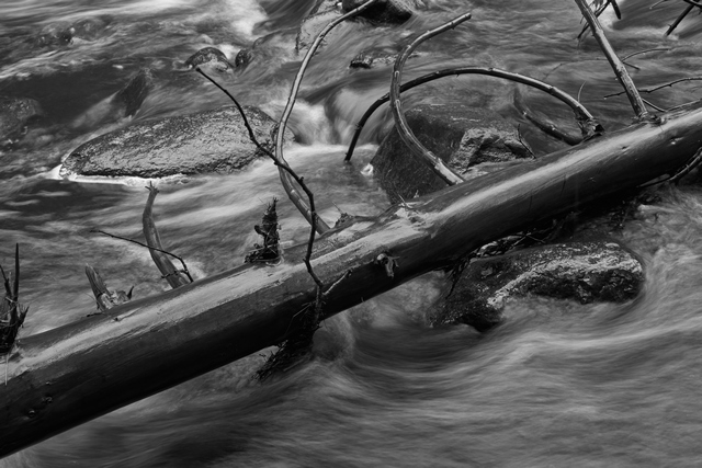 Sony FE 24-70 f2.8 GM II_13w.jpg