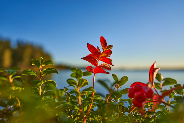 Sigma 24mm f2 DN_29w.jpg