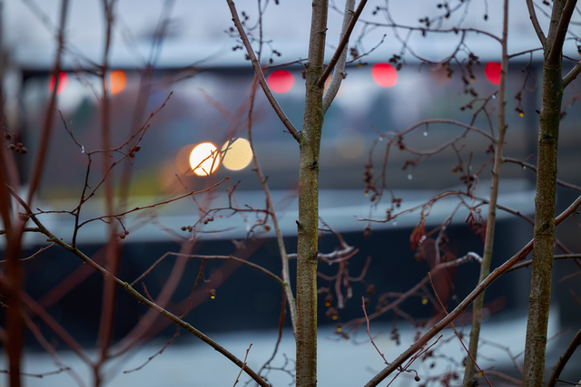 Canon RF_70200_f28_22w.jpg